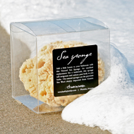 Luxury Natural Sea Sponge